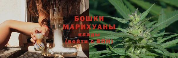 индика Медвежьегорск