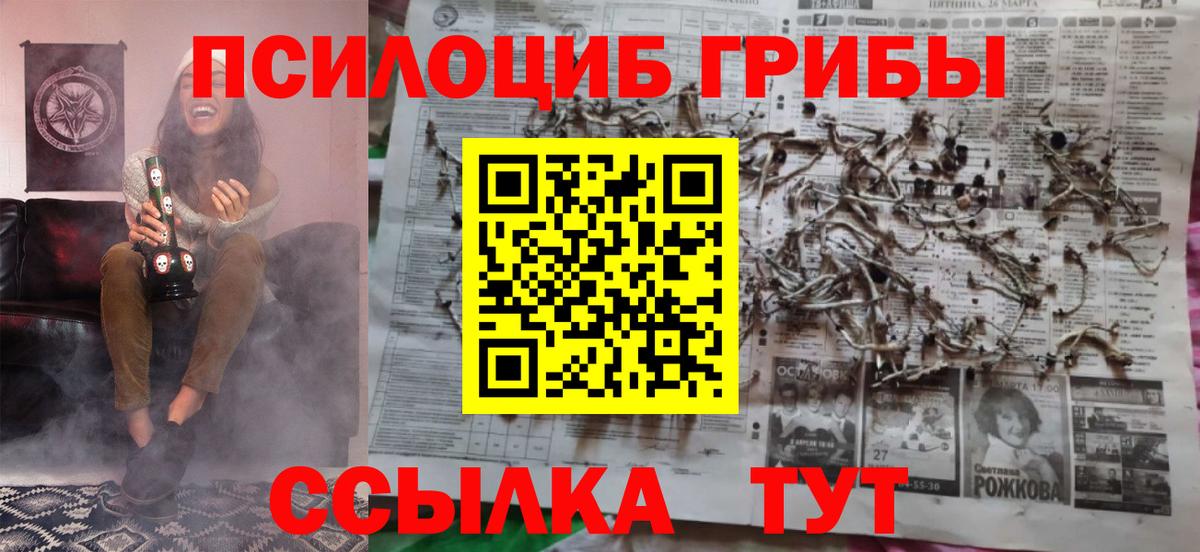 Псилоцибиновые грибы Cubensis  Вход с VPN  Ялуторовск 